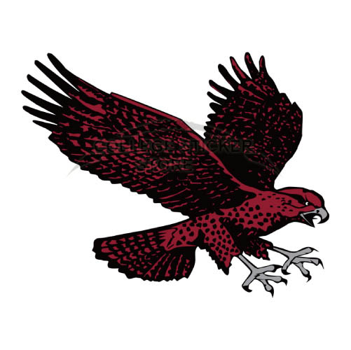 Personal Maryland Eastern Shore Hawks Iron-on Transfers (Wall Stickers)NO.4986